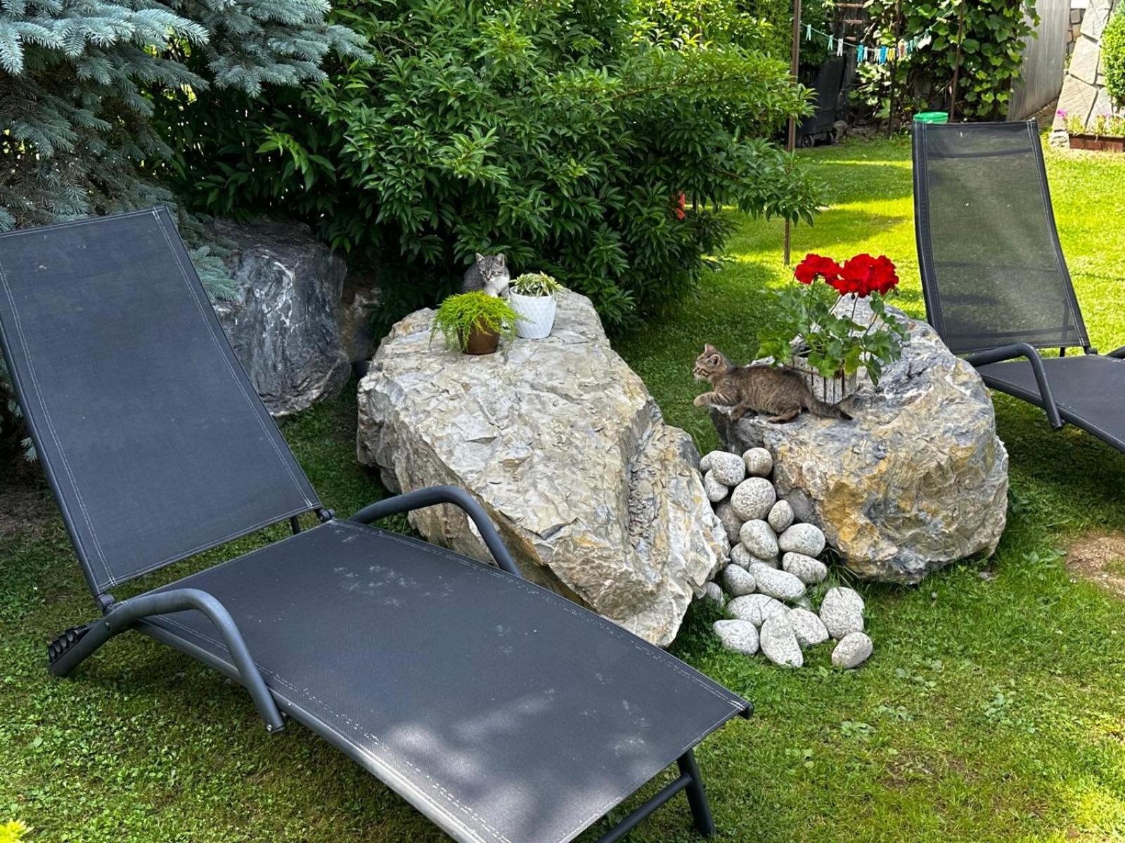 Dw Basia Pokoje I Apartament Бялка-Татшаньска Экстерьер фото