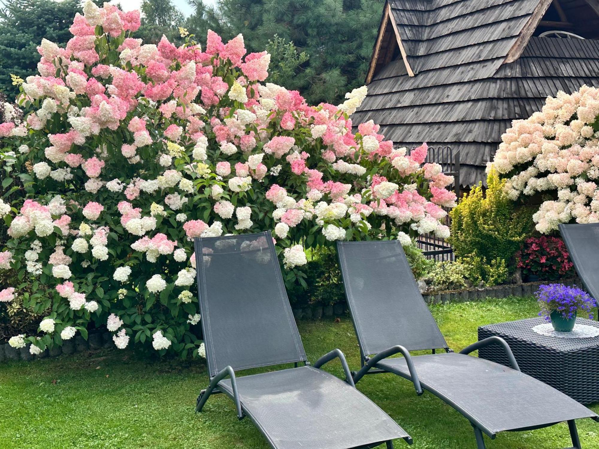 Dw Basia Pokoje I Apartament Бялка-Татшаньска Экстерьер фото